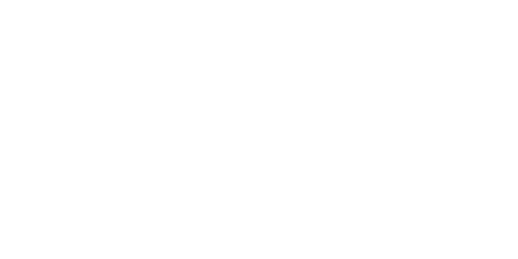 Brown Immigration Solutions INC