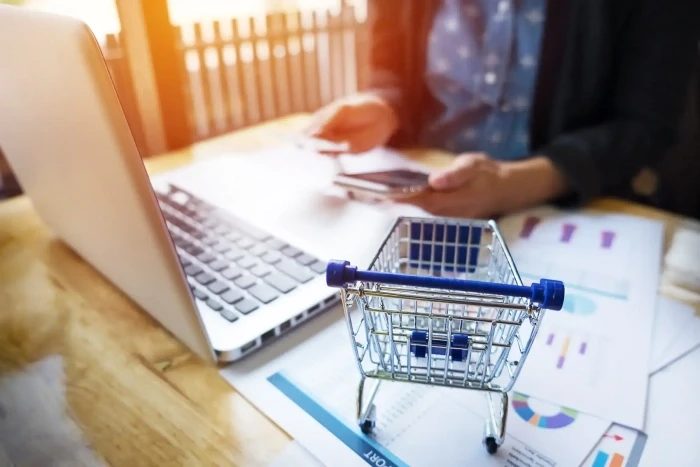 Ecommerce website development solutions